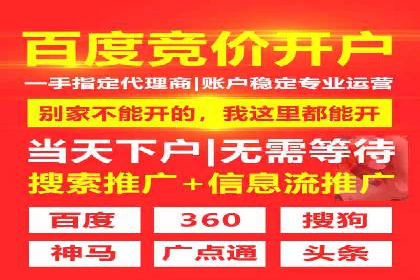 谷歌竞价案例：成功案例分析及启示
